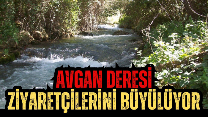 Avgan Deresi ziyaretçilerini büyülüyor