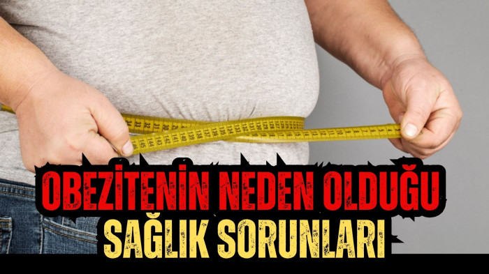 Obezitenin Neden Olduğu  Sağlık Sorunları